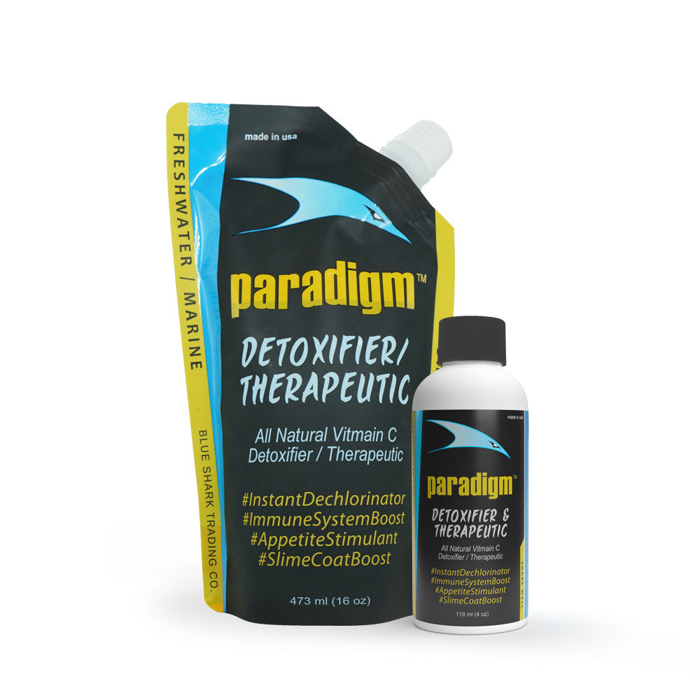 general healthmore than just a water detoxifier, paradigm reduces stress in acclimation and boost immunity ⇾