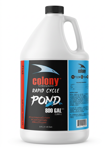 Colony Rapid Cycle Pond