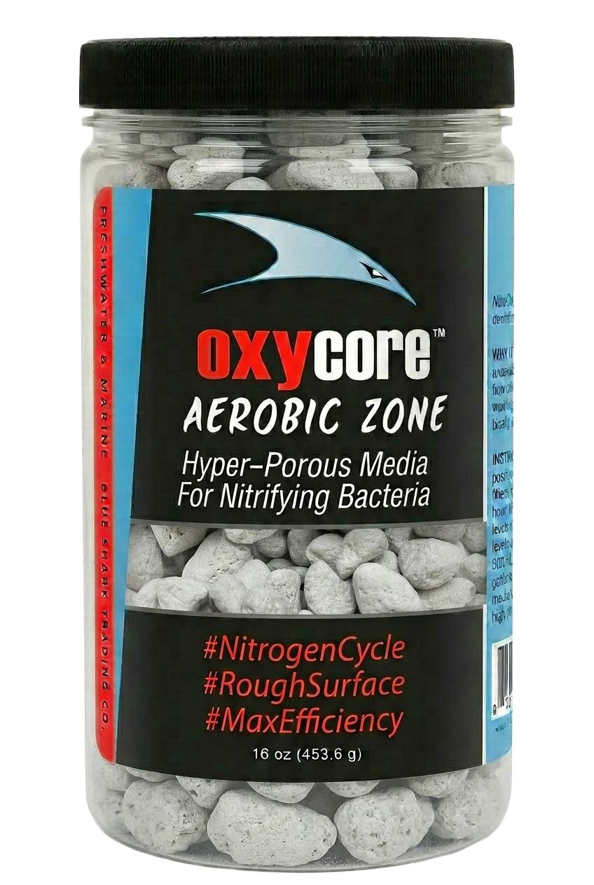 OxyCore Aerobic Zone | Blue Shark Journey